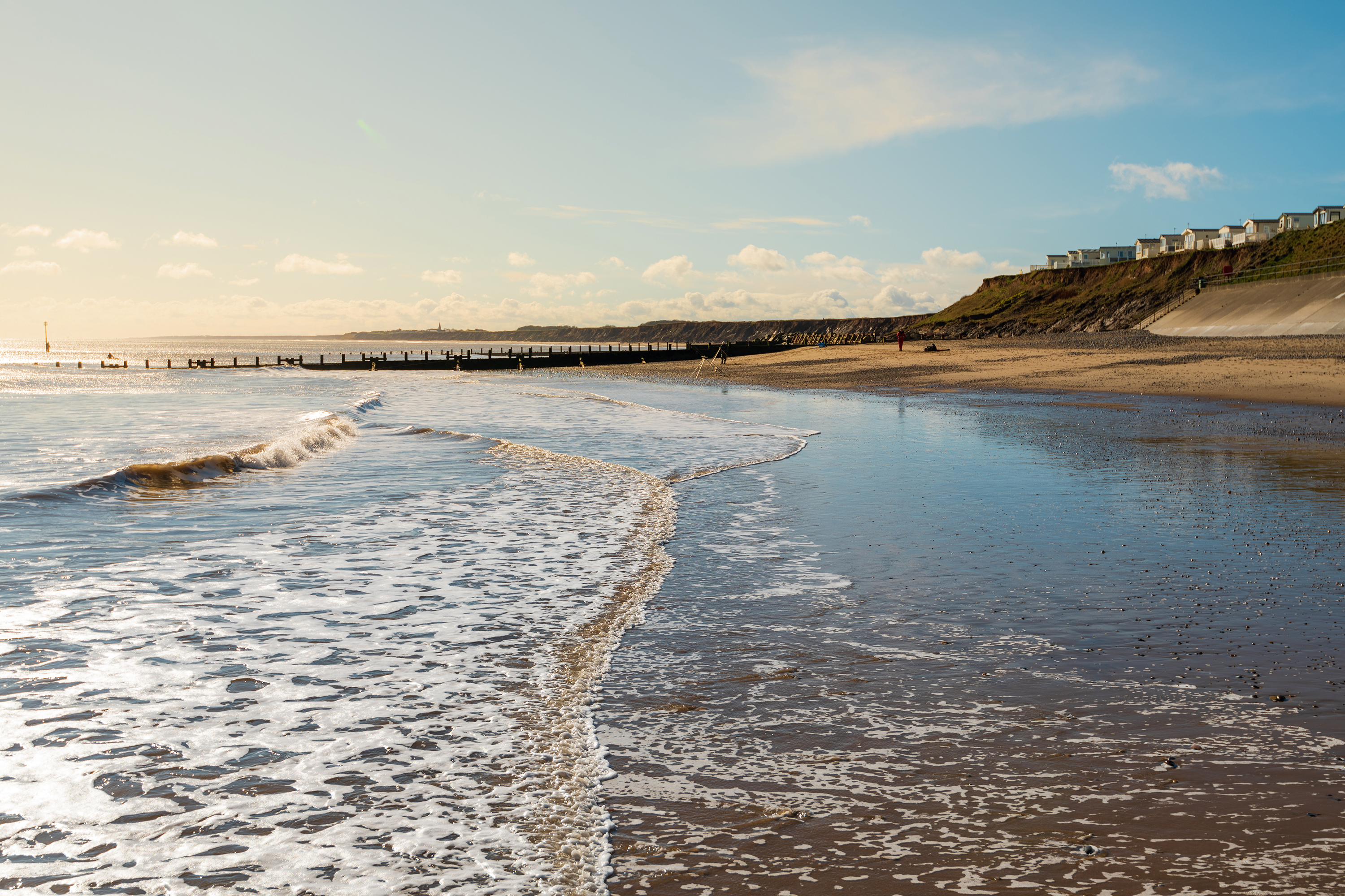 is hornsea beach dog friendly