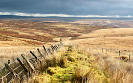 Best walks & walking routes in Exmoor