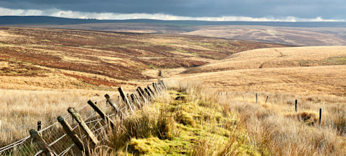 Best walks & walking routes in Exmoor