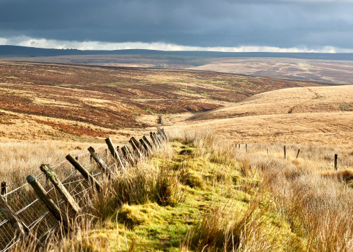 Best walks in Somerset