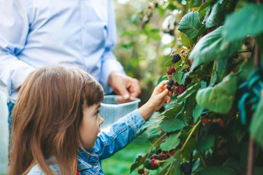 Best activity centres for kids aged 4-11 in Sussex