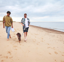Walks on the sandy beach at Seashore in Norfolk