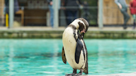 SEA LIFE Adventure Park