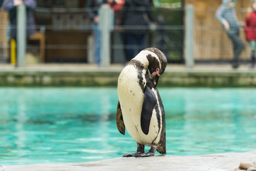 2. SEA LIFE Weymouth
