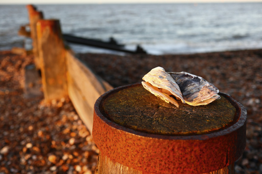 Whitstable Beach, Whitstable