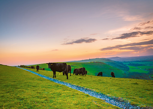 Best walks in Sussex