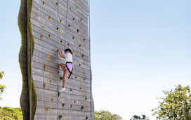 Climbing Wall