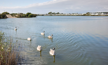 Nature reserve at Church Farm