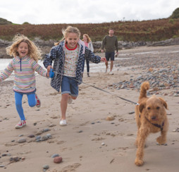 Dog-friendly beaches, dining and activities