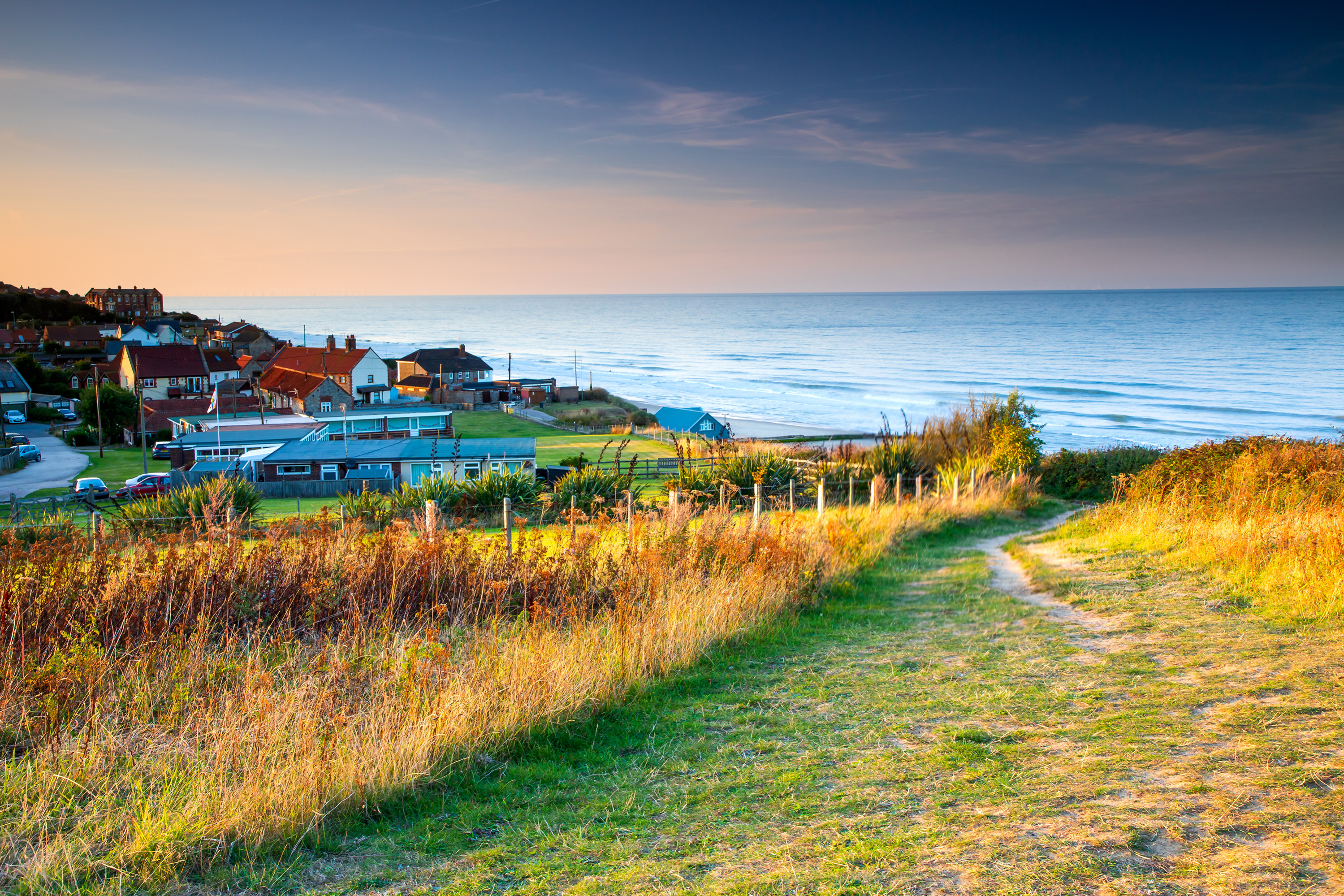 are norfolk beaches safe for dogs