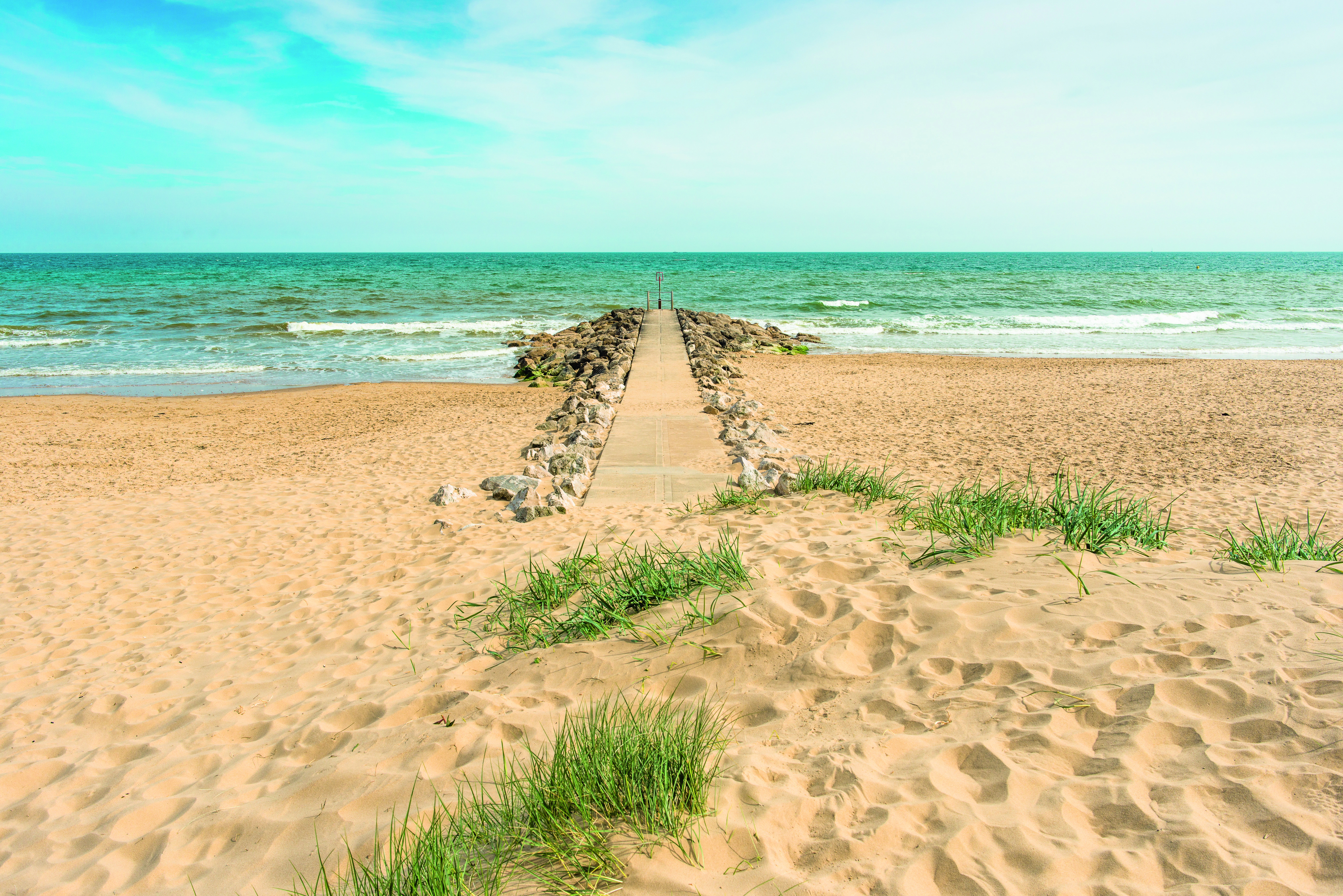 is branksome beach dog friendly