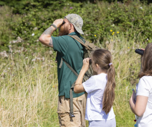 Nature walks at Seaview