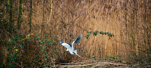 8. Fingringhoe Wick Nature Discovery Park circular trail