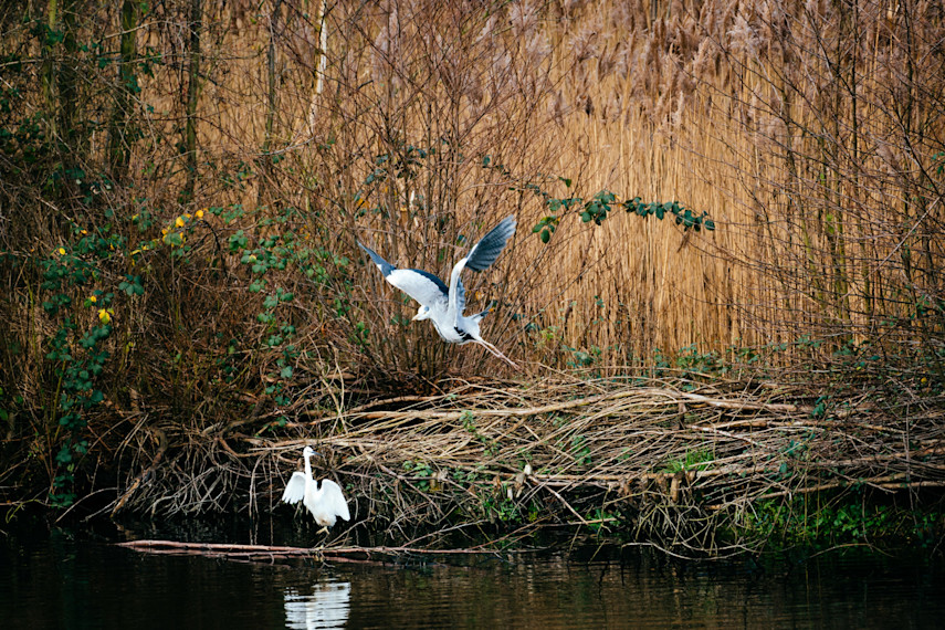 8. Fingringhoe Wick Nature Discovery Park circular trail