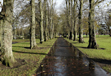 Kay Park and the Burns Monument