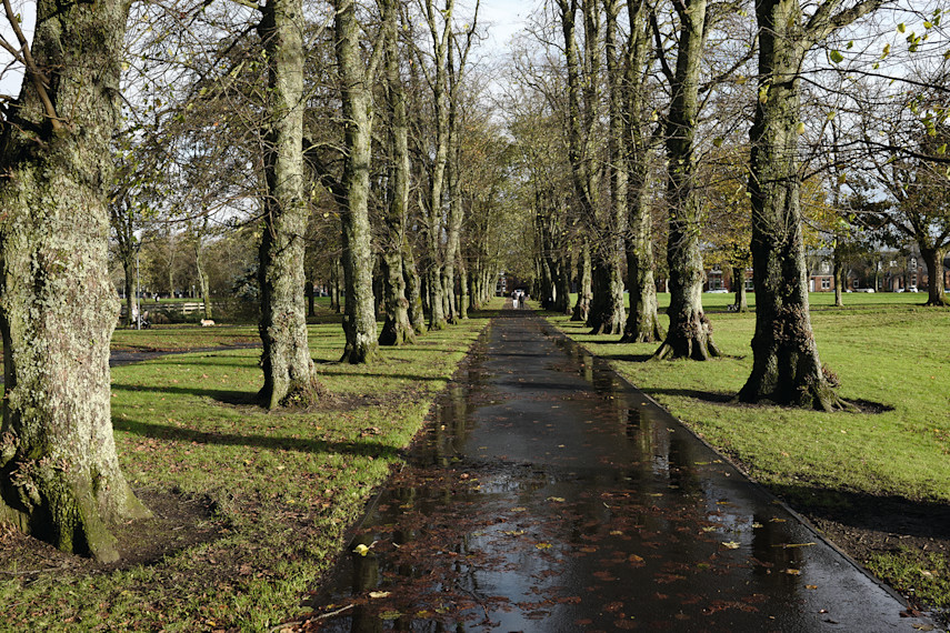 Kay Park and the Burns Monument