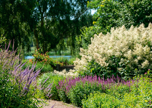 Visit Norfolk’s nature reserves and wildlife parks