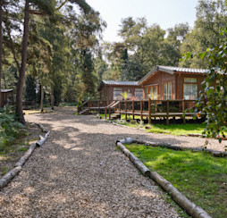 A woodland lodge at our Wild Duck Holiday Park in Norfolk.