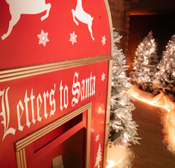 Festive entertainment and activities