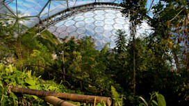 Eden Project