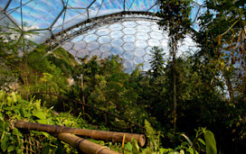 Eden Project