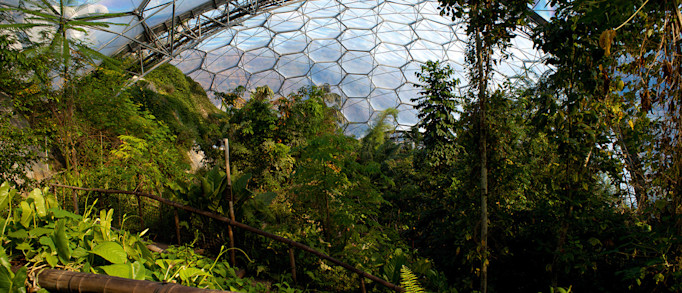 6. The Eden Project
