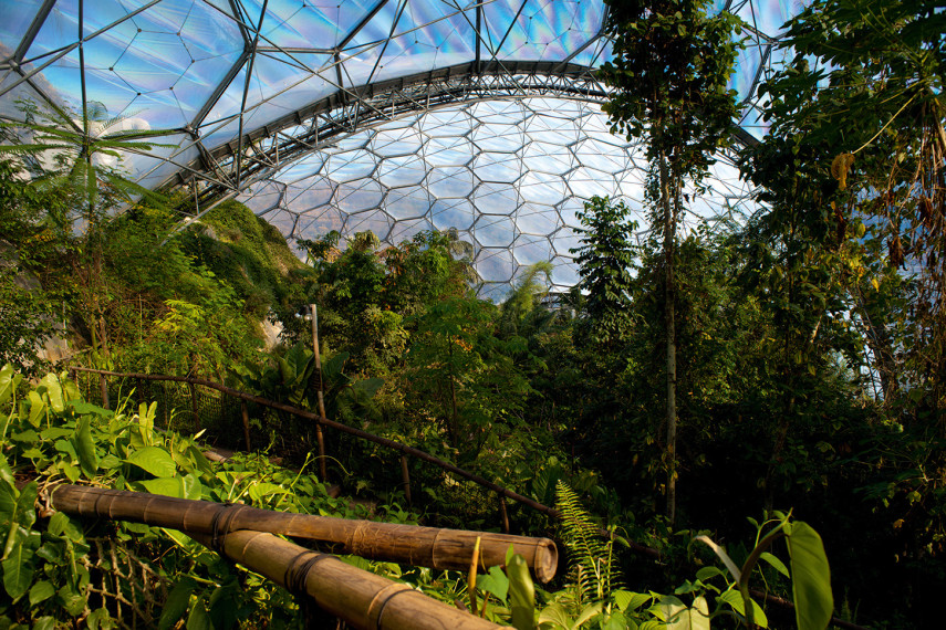 The Eden Project
