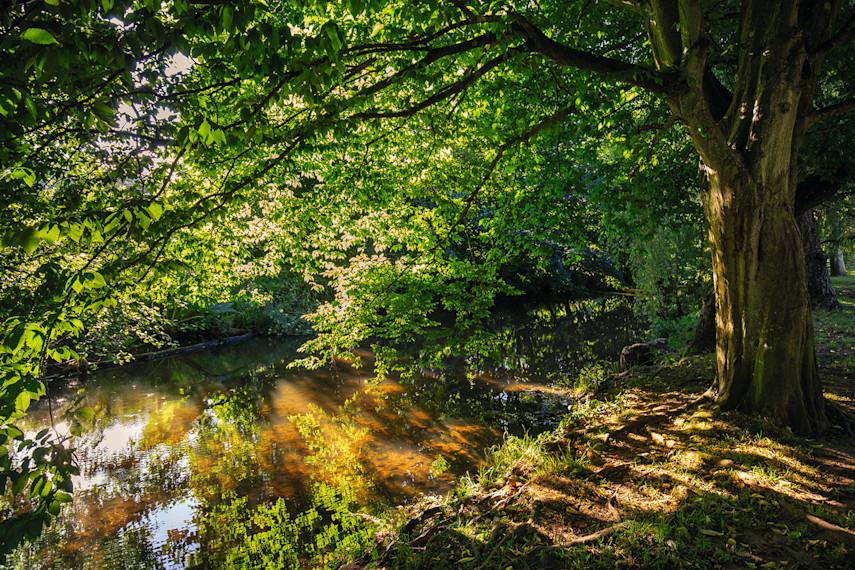 6. The Byes riverside park