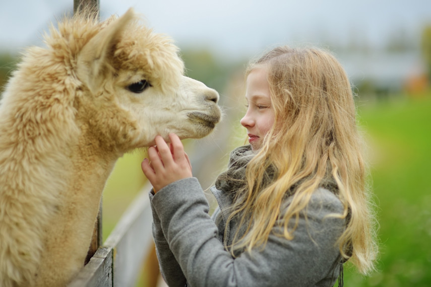 Best soft plays for babies and toddlers in Dorset