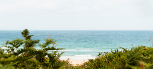 Shot on the sea through brush and the sand.