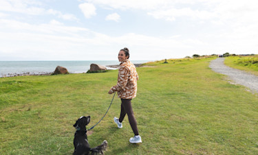 Dog walks on the beach or the coastal path
