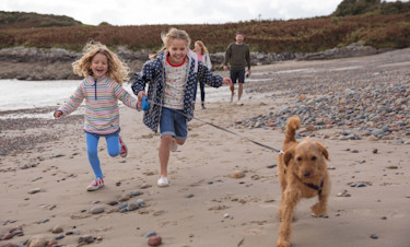 Dog walks on the beach or the coastal path
