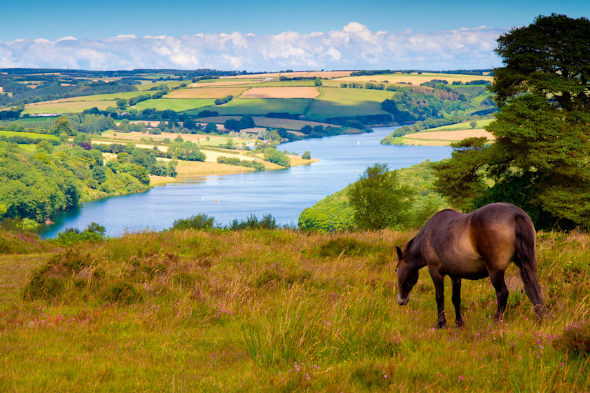 Somerset