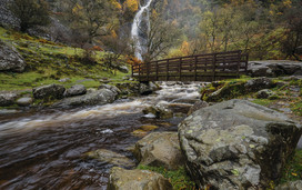 Coedydd Aber falls