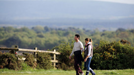 Walking