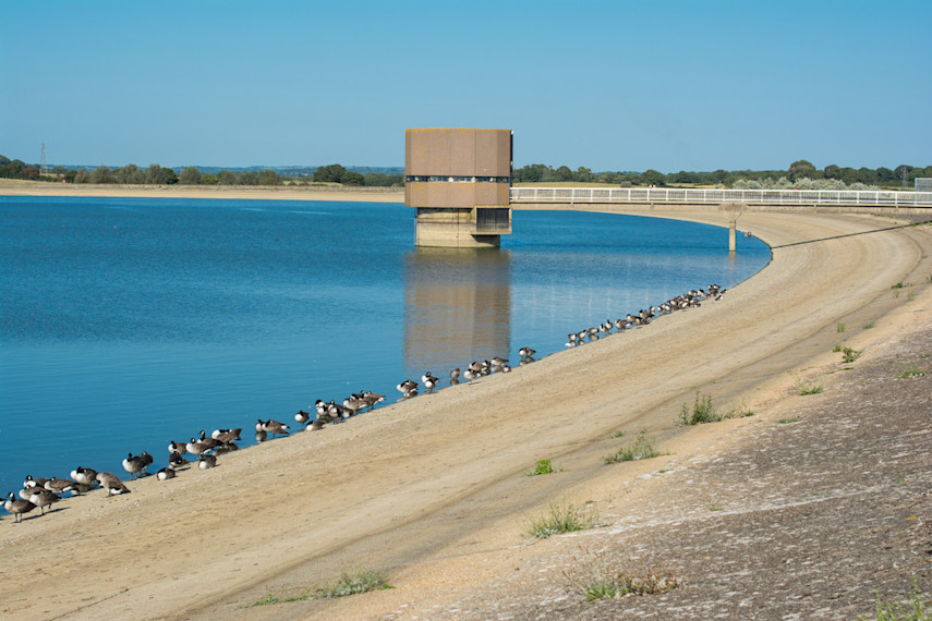 Arlington Reservoir and Nature Reserve