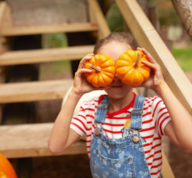 Halloween breaks at Haven
