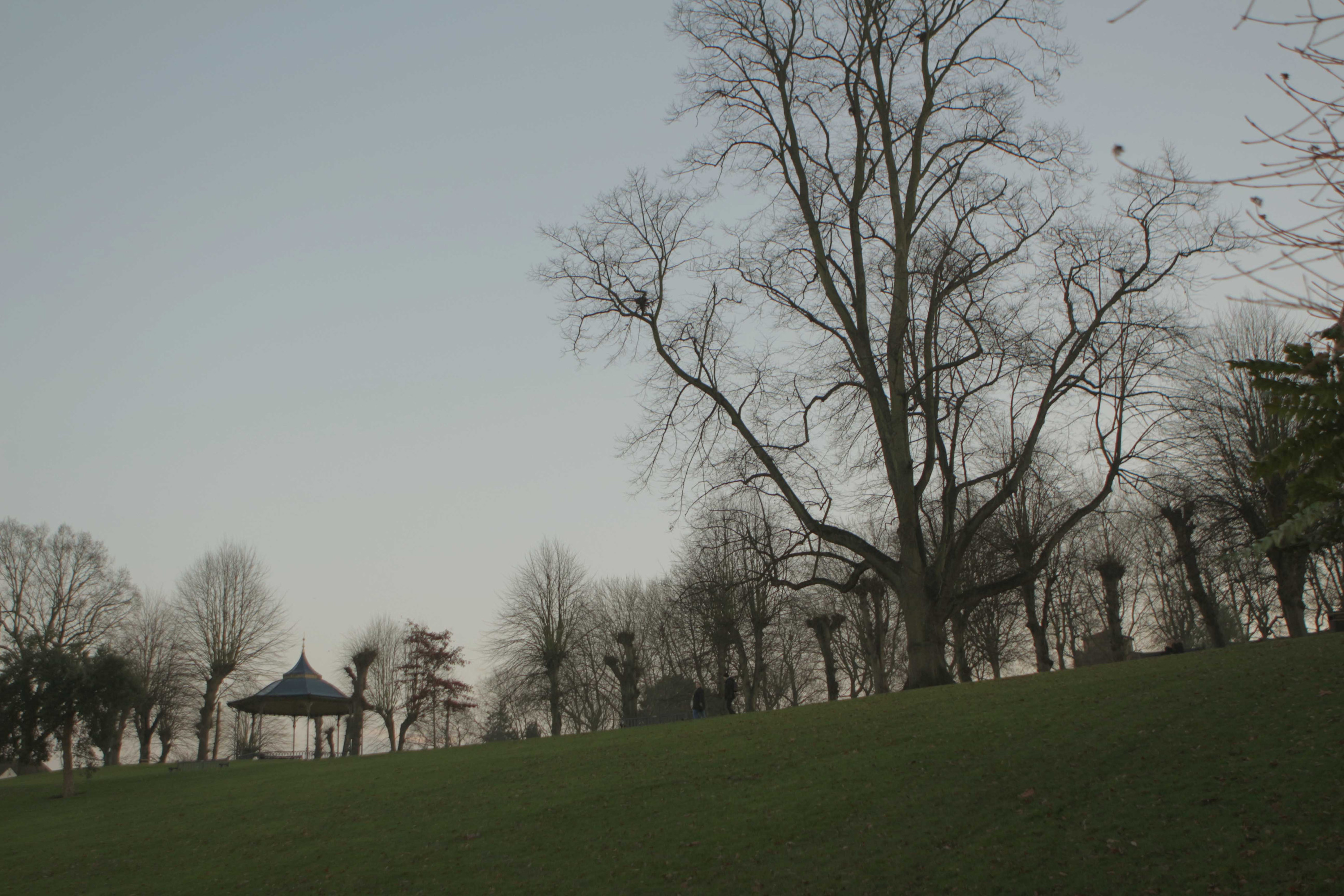 10. Highwoods Country Park 