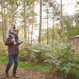 Woodland Setting at Wild Duck
