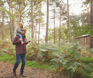 Woodland Setting at Wild Duck