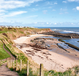 Dog-friendly beaches steps away