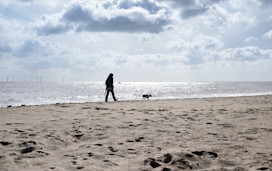 Skegness Beach walk