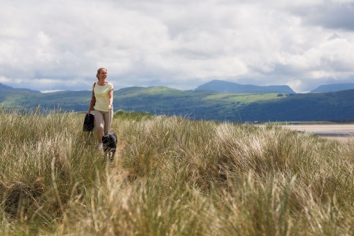 Dog-friendly things to do in North Wales