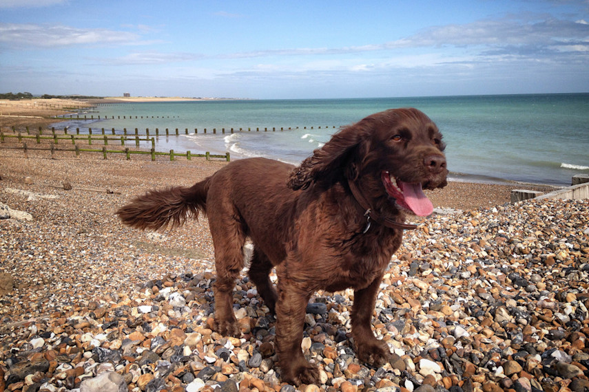 Climping Beach, Atherington