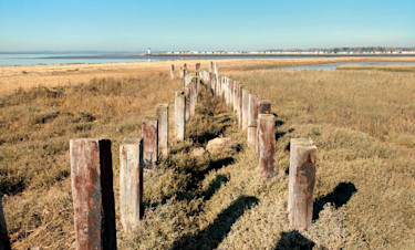 Point Clear Bay