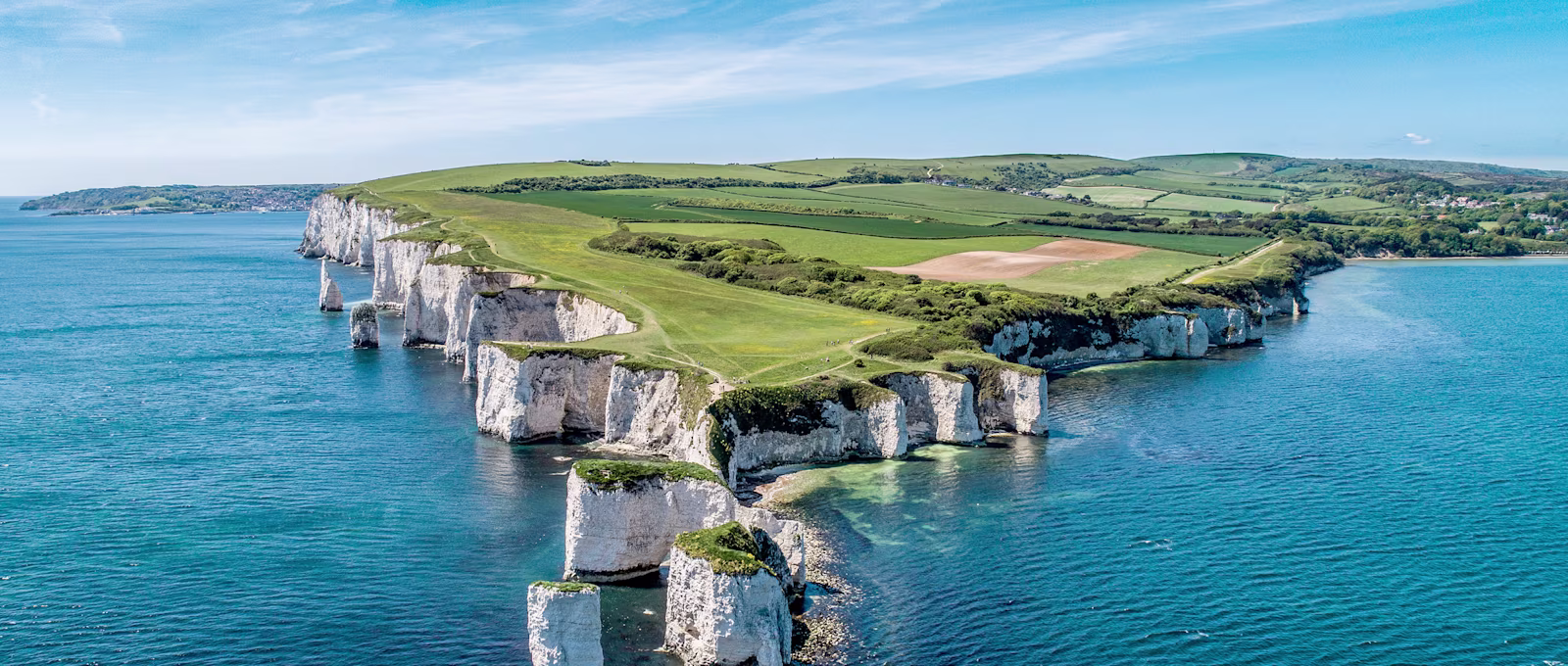 Dorset
