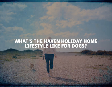 Image with copy overlayed that says "What's the Haven holiday home lifestyle like for dogs?"