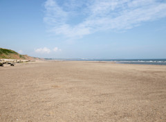 Sandy Beach at Reighton Sands