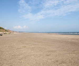 Sandy Beach at Reighton Sands