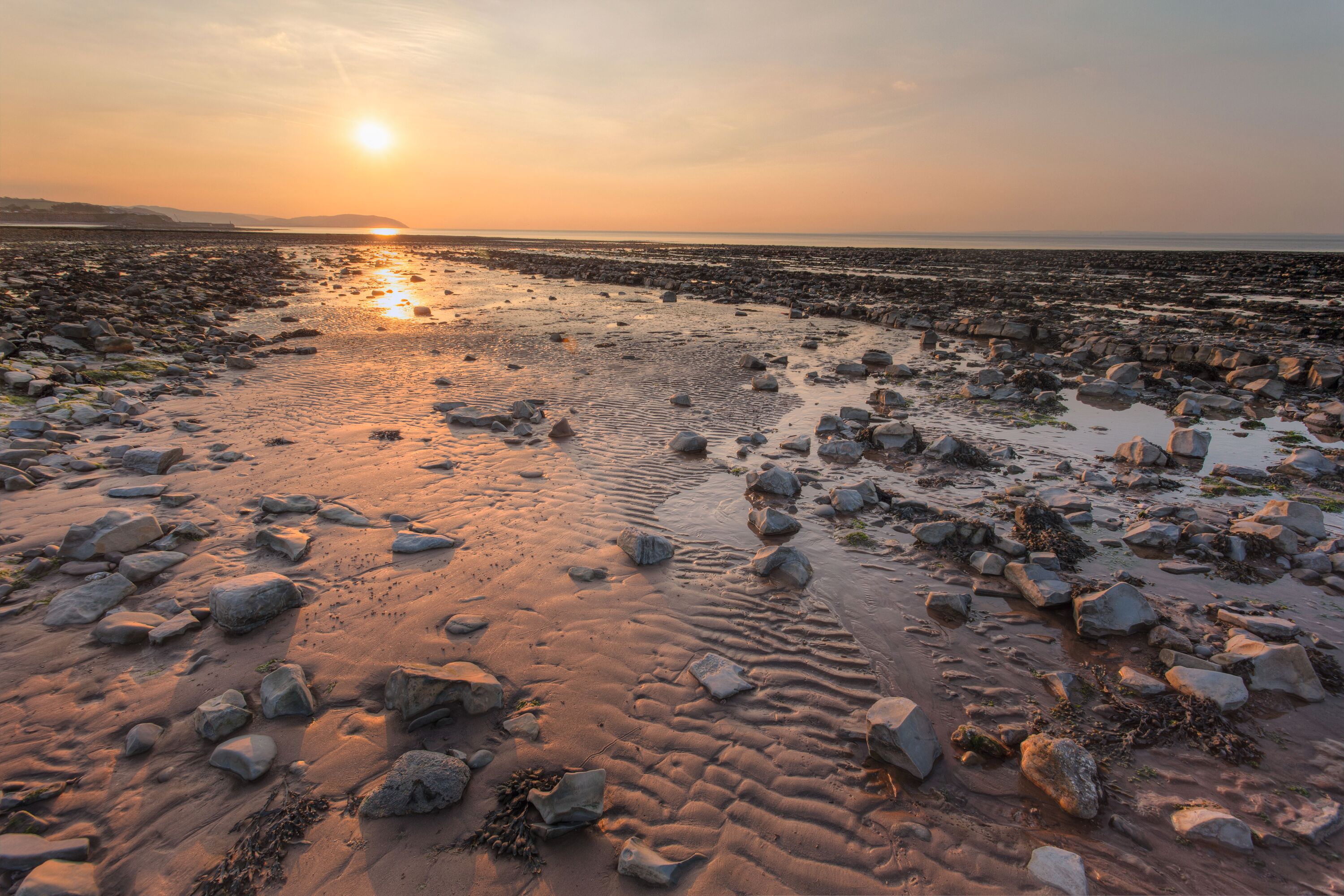 Sunset over the park
